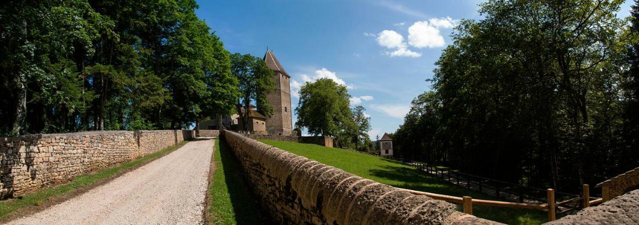 Отель Chateau De Marigna Экстерьер фото